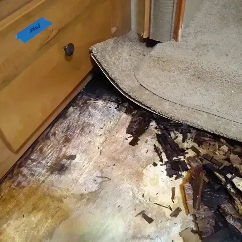 Wood Floor Water Damage in Hanover, NJ